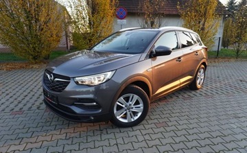 Opel 2017 Opel Grandland X Bezwypadkowy Serwisowany 1-Wlasciciel Grz.Fotele Kierowni