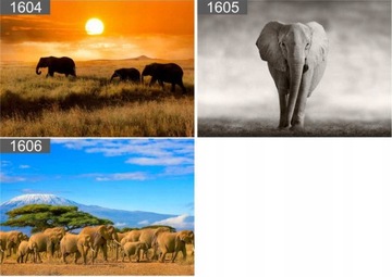 КАРТИНА НА ХОЛСТЕ ЛОШАДИ МУСТАНГ 100х70 на выбор