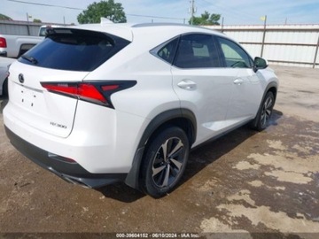 Lexus NX I 2020 Lexus NX 2020r., 4x4, 2.0L 2.0 Benzyna 235KM, zdjęcie 3