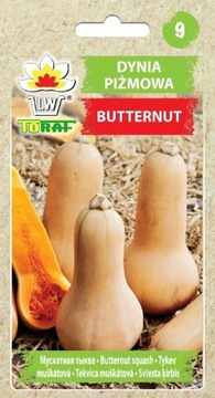 Dynia piżmowa Butternut - Nasiona 5g