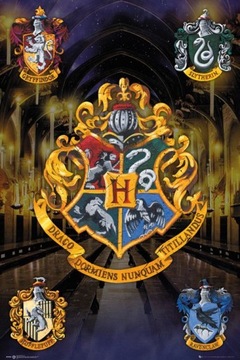 Harry Potter - plakat 61x91,5 cm