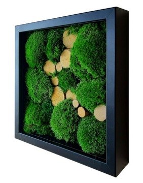 Живая рамка для фотографий, подушка из мха, дерево, 30см/30см