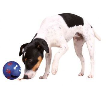 Кормушка Treat Ball Feeder Игрушка для собак 7 см TRIXIE