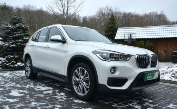 BMW X1 F48 Crossover sDrive18d 150KM 2019 BMW X1 2,0 D 150 KM FULL LED BI-Xenon Nawigacja LED Kamera 2.0 Diesel 150KM, zdjęcie 10