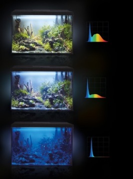Аквариум «Профиль» / «Овал» 72 л, 60x30x40 + крышка Aquael LED «День/Ночь», комплект