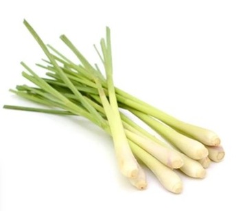 ЭФИРНОЕ МАСЛО АРОМАТ ЭВКАЛИПТА ИММУНИТЕТ