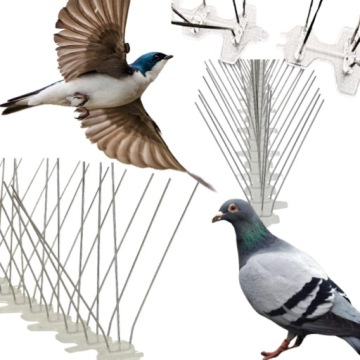 ПЛОТНЫЙ СИЛЬНЫЙ ПТИЦА ШИПЫ ГОЛУБЬ ПТИЦА ШИПЫ НЕРЖАВЕЮЩАЯ СТАЛЬ