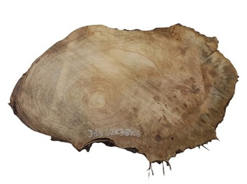 Plaster Jabłoni 62x38cm Ozdobna Tacka Czeczota