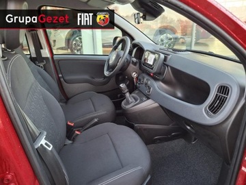 Fiat Panda III 2025 Fiat Panda Pandina Icon 1.0 70 KM 5-miejscowa, zdjęcie 9