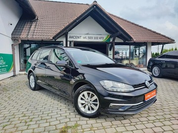 Volkswagen Golf VII Variant Facelifting 1.0 TSI 110KM 2017 Volkswagen Golf VII 1.0 TSI Comfortline, zdjęcie 8