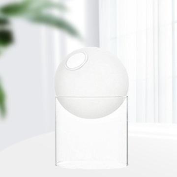 Ваза из прозрачного стекла, колба, контейнер для растений для гидропоники, прозрачная, матовая, высокая