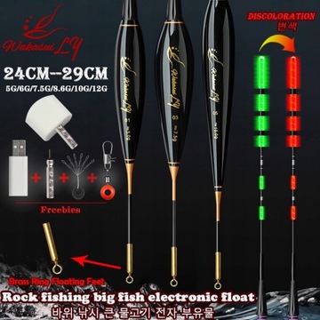 Big Carp GravitySensor Spławik Rock Fishing Luminous