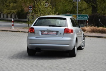 Audi A3 8P Hatchback 3d 1.9 TDI 105KM 2008 Audi A3 3-drzwiowe 1.9TDi 105KM 2008r. Klima, zdjęcie 6