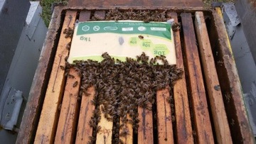 Жмых пищевой БКВ с белком 15 шт х 1 кг