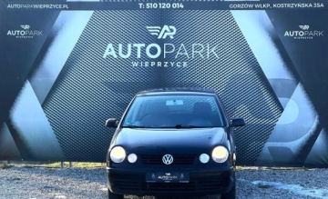 Volkswagen Polo IV Hatchback 1.2 i 54KM 2003