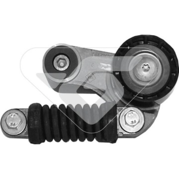 Hutchinson T2013 Rolă întinzătoare, curea de transmisie cu caneluri