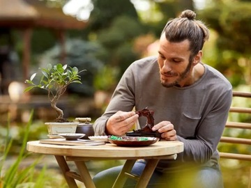 Дерево бонсай LEGO Creator Expert Flowers (10281) Подарок для взрослых ICONS