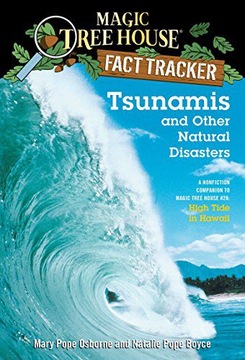 TSUNAMIS AND OTHER NATURAL DISASTERS: A NONFICTION COMPANION TO MAGIC TREE