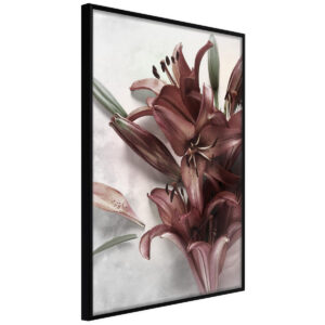 Obrazy do Kuchni Botaniczne 20x30 Rama czarna