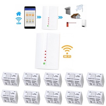 Komplet: 10x STM sterownik + WF1 - ELMES