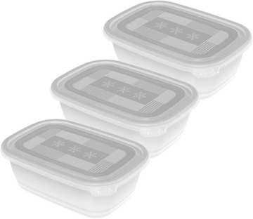 Zestaw pojemników do mrożenia Rotho FREEZE 3x1l