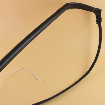 DOG TRAINING WHIP 5 FEET INTERACTIVE TOY