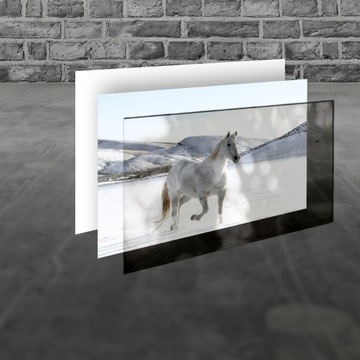 Panel Szklany Przyprawy i zioła 54032202 100x50