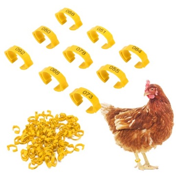 Кольцевые маркеры для кур гусей 100 шт.