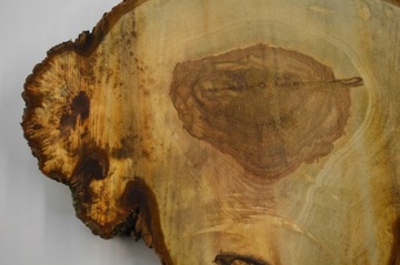 Срез каштана 62х48см Толщина: 7 см для смол