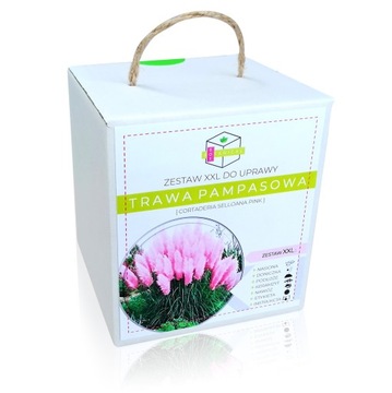 TRAWA PAMPASOWA RÓŻOWA PINK ZESTAW DO UPRAWY XXL NASIONA - NA PREZENT