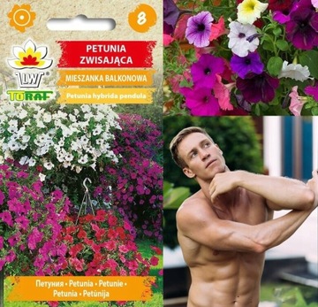 NASIONA KWIATÓW PETUNIA ZWISAJĄCA MIX BALKONOWY