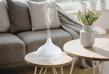 Ультразвуковой увлажнитель-диффузор White Onion Aroma Pilot