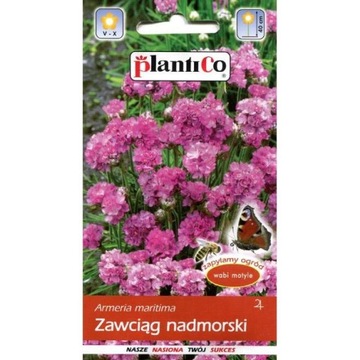 ZAWCIĄG NADMORSKI RÓŻOWY 0,3 g NA SKALNIAKI 'P