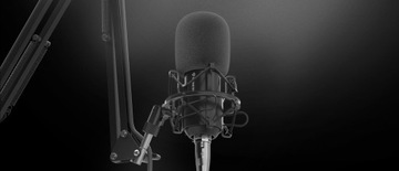 НАБОР ПОП-ФИЛЬТРОВ ДЛЯ СТУДИЙНОГО МИКРОФОНА GENESIS RADIUM 300 XLR