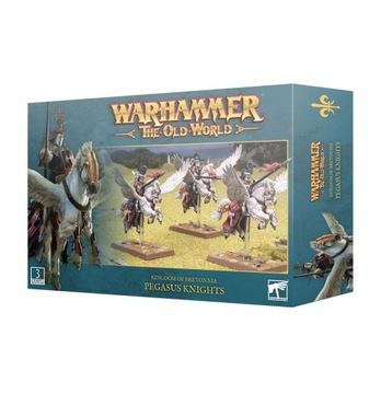 WARHAMMER THE OLD WORLD - KINGDOM OF BRETONNIA PEGASUS KNIGHTS ELITE AERIAL