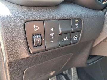 Kia Sportage IV SUV Facelifting 1.6 T-GDI 177KM 2019 Kia Sportage 1.6 T-GDI GT Line 2WD IV (2016-) Kia, zdjęcie 24