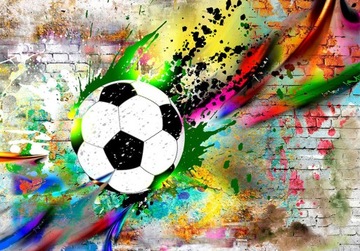FOTOTAPETA PIŁKA NOŻNA SPORT 250x175 i-C-0095-a-a