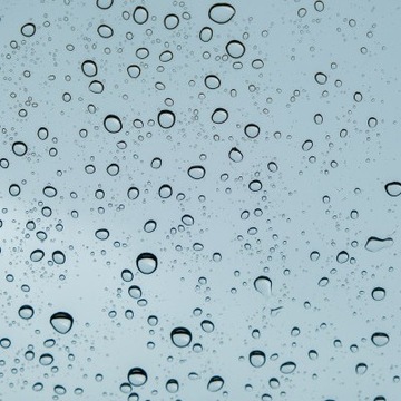 PUSZKA HERMETYCZNA PRZEŹROCZYSTA TRANSPARENTNA XL