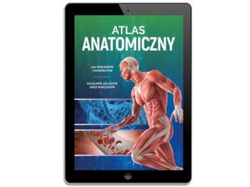 Анатомический атлас