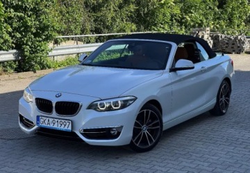 BMW Seria 2 G42-U06 2020 BMW Seria 2 2.0 Benzyna 252 Km Xdrive Biala Perla Kamera tylko 20000 2.0, zdjęcie 1