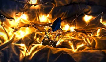 THIERRY MUGLER ANGEL 2019 EDT 100 МЛ ОРИГИНАЛ