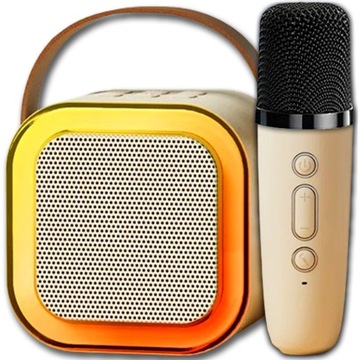 Zestaw do Karaoke Mikrofon Głośnik Bezprzewodowy LED Przenośny Bluetooth