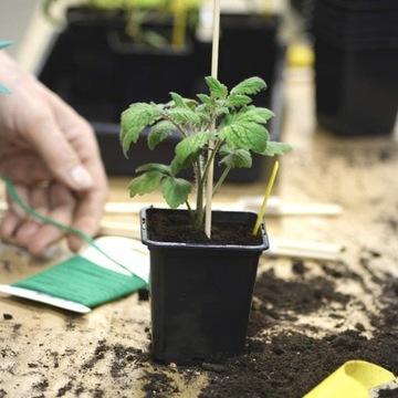 ПРОИЗВОДСТВЕННЫЕ ГОРШКИ П11 ДЛЯ ОКРУЖЕНИЯ СЕВА И ПОСЕВА СЕМЕНА, 5 ШТ.