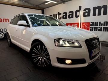 Audi A3 8P Hatchback 3d 2.0 TDI CR 140KM 2010 Audi A3 Sportback ledy bi xenon 2.0 tdi 140 konny manualna skrzynia bezwyp, zdjęcie 16