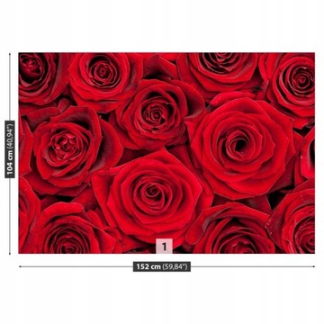TAPETA SAMOPRZYLEPNA Czerwone róże 152x104