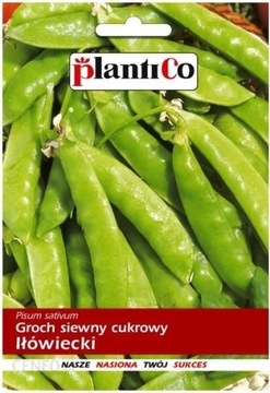 Nasiona groch siewny cukrowy Iłówiecki 40g.