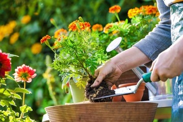 КОМПО ПЕРЛИТ УНИВЕРСАЛЬНЫЙ ПОЧВЕННЫЙ СУБСТРАТ ДЛЯ ЦВЕТОВ