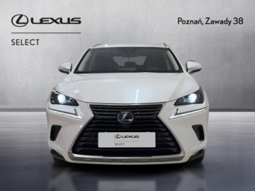 Lexus NX I SUV 300h 197KM 2017 Lexus NX 300h Comfort AWD I (2014-2021) Lexus NX 3, zdjęcie 5