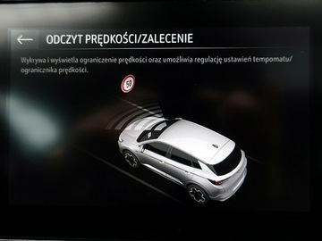 Opel 2022 Opel Grandland AUTOMAT+LED 1WŁ KRAJ. BEZWYP. F23%, zdjęcie 31