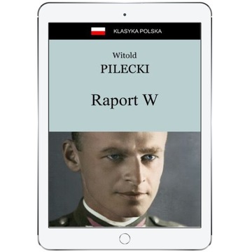 Raport